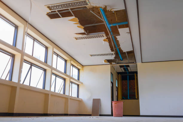 Best Water damage cleanup near me  in Lake Ssota, WI