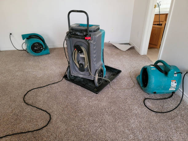 Best Sewage cleanup and water damage restoration  in Lake Ssota, WI