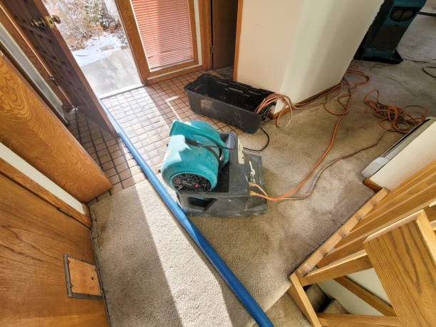 Best Residential water damage restoration  in Lake Ssota, WI