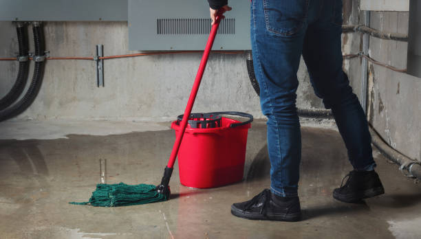 Best Flood restoration services  in Lake Ssota, WI