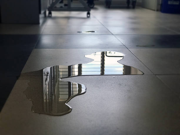 Best Water damage restoration near me  in Lake Ssota, WI