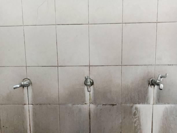 Best Mold removal after water damage  in Lake Ssota, WI